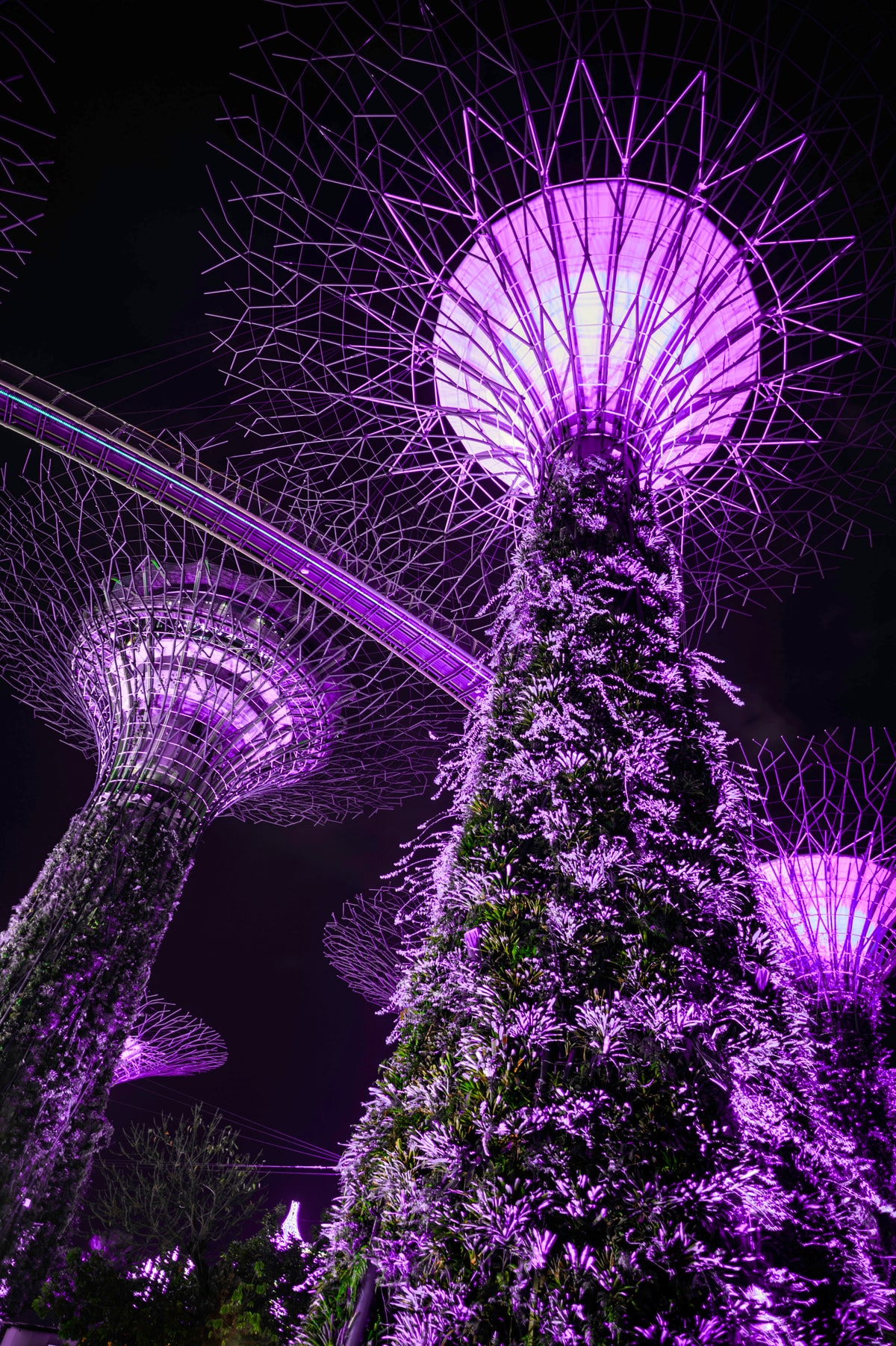 City Lights, image 3