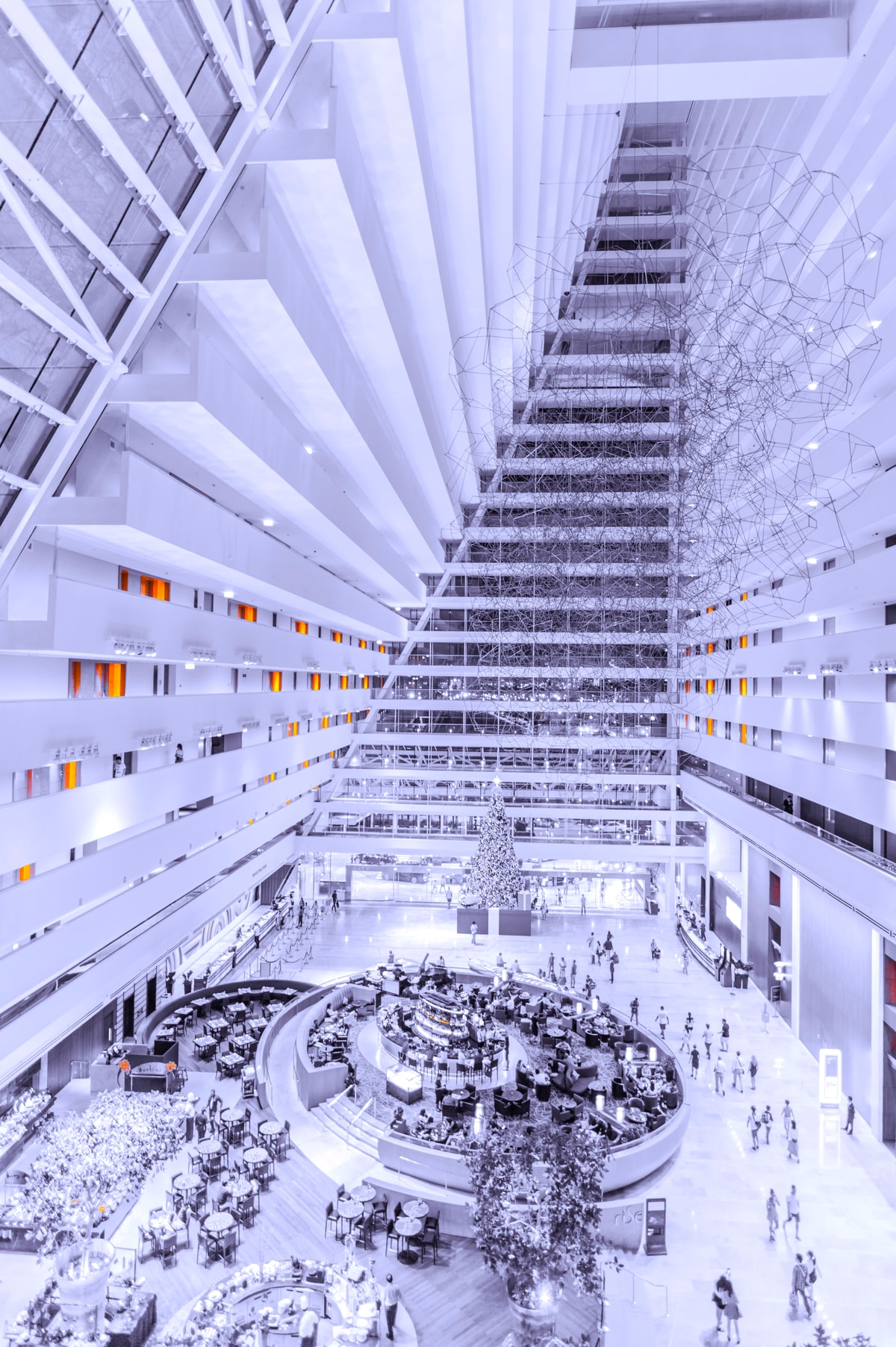 City Lights, image 2