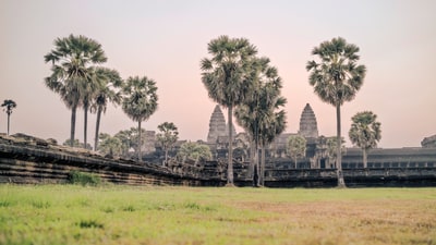 Angkor Wat, image 2